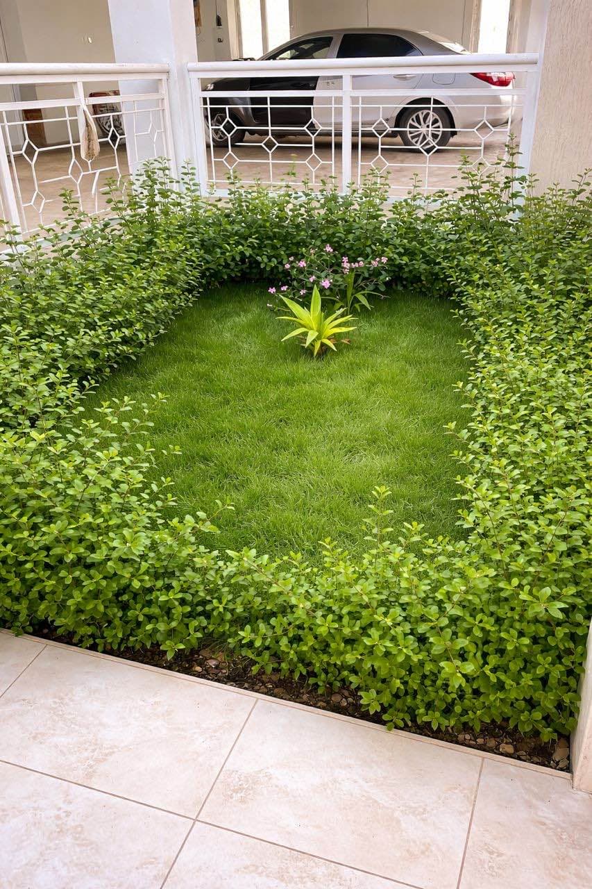 Villa d’exception style nord-américain avec baies vitrées – Centre Émetteur, Nouakchott 6